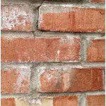 Efflorescence Efflorescence on Brick