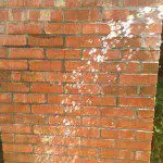 Brick waterproofing Brick water repellant