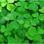 Brick is Green